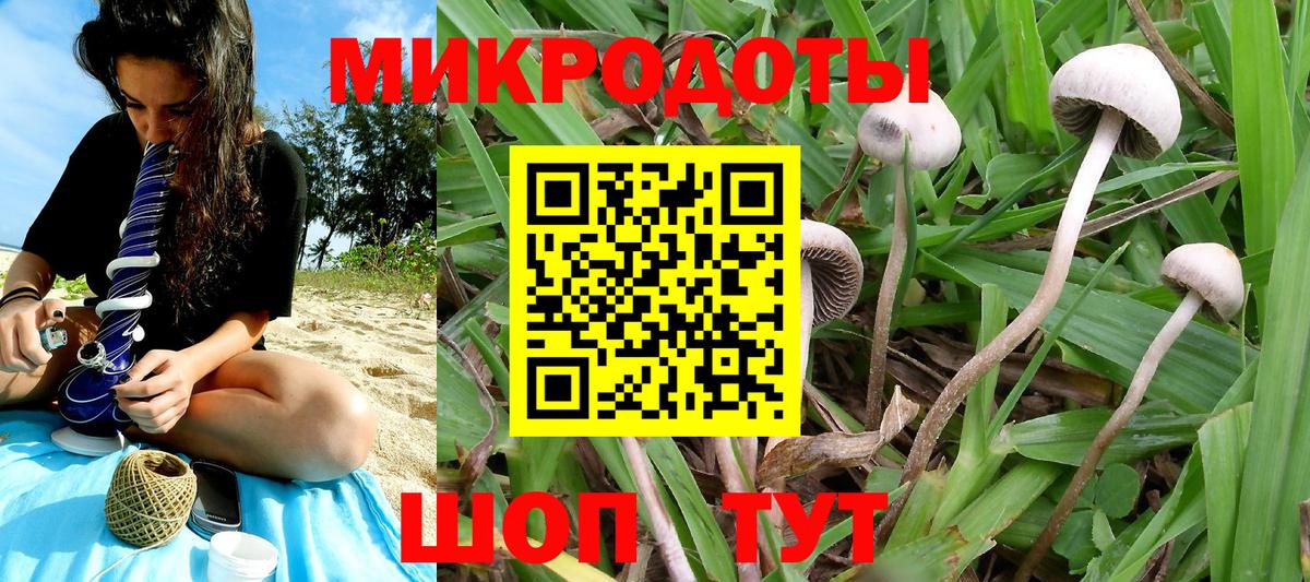 Рязань  Псилоцибиновые грибы Magic Shrooms  Вход с VPN  Галлюциногенные грибы MAGIC MUSHROOMS 