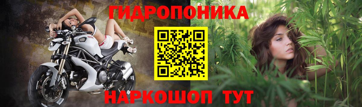 Шишки марихуана SATIVA & INDICA  Вход с VPN  Конопля гибрид  Рязань  Бошки марихуана Ganja  Марихуана планчик 